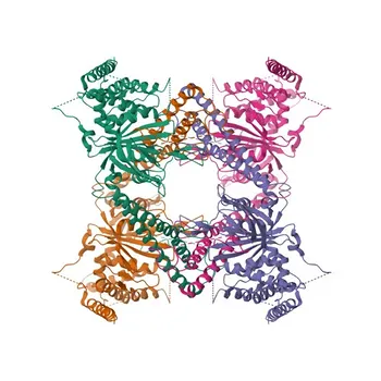 Anti-USP25 Rabbit Monoclonal Antibody for WB - Q9UHP3