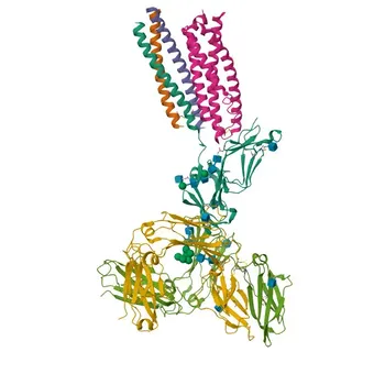 Anticorpo monoclonale coniglio anti-topo IgE per FC - P06336