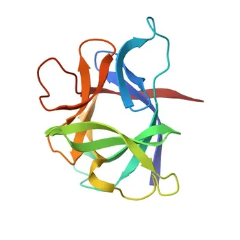Anti-IL1β Anticorpo Monoclonal de Coelho para WB, IF/ICC, ELISA - P01584