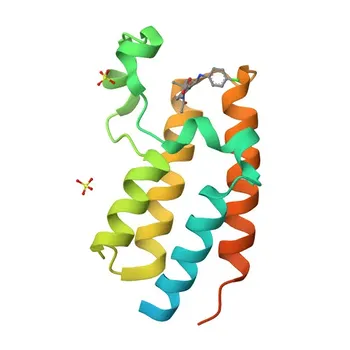 Anti-BRD2 Monoclonal Antibody for WB, ELISA - P25440