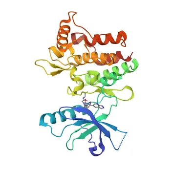 Anti-DDR2 Rabbit Monoclonal Antibody for WB and ELISA - Q16832