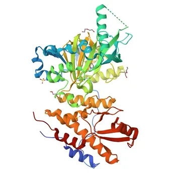 Anticorpo Monoclonal de Coelho Anti-KDM6A (UTX) [KD Validado] para WB, IF-P, IHC-P, ELISA - O15550