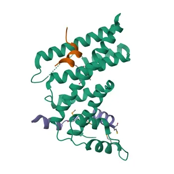 Anti-TIN2/TINF2 Rabbit Monoclonal Antibody for WB, ELISA - Q9BSI4
