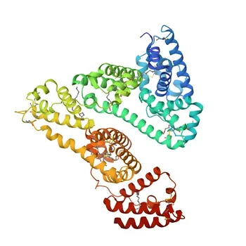 Anti-Albumin/ALB Monoclonal Antibody for WB, IHC-P, IF/ICC, ELISA - P02768