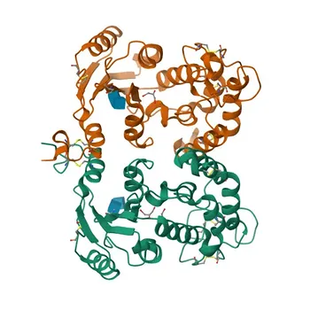 Anticorpo Monoclonal Anti-CD157/BST-1 para Citometria de Fluxo - Q10588