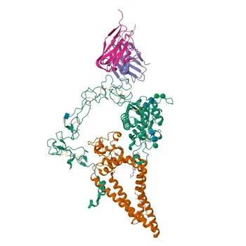 Anticorpo Monoclonal APC Anti-Humano CD156c/ADAM10 para Citometria de Fluxo - O14672