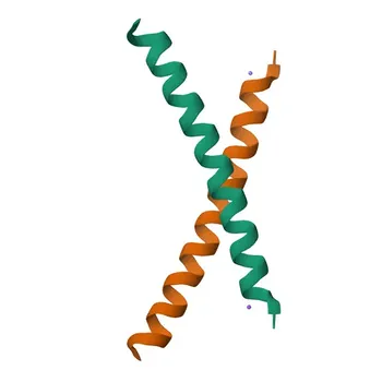 Anti-Parathyroid Hormone (PTH) Monoclonal Antibody for WB, IF-P, ELISA - P01270