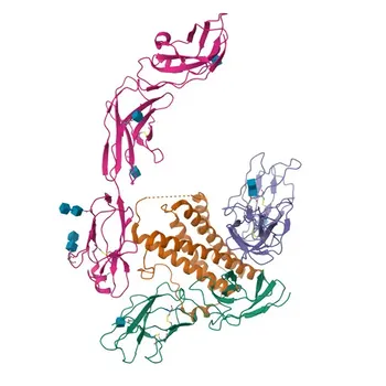 Anticorpo Monoclonal de Coelho Anti-IL-27RA/WSX-1 para FC, ELISA - Q6UWB1