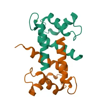 Anti-S100A12/CGRP Rabbit mAb for WB, IF/ICC, ELISA - P80511
