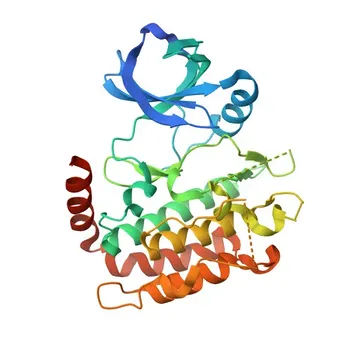 Anti-RIP3 Rabbit Monoclonal Antibody for WB, IF/ICC, ELISA - Q9QZL0