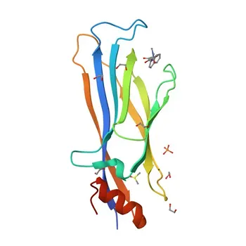Anticorpo Monoclonal de Coelho Anti-MLLT3/AF9 para WB, ELISA - P42568