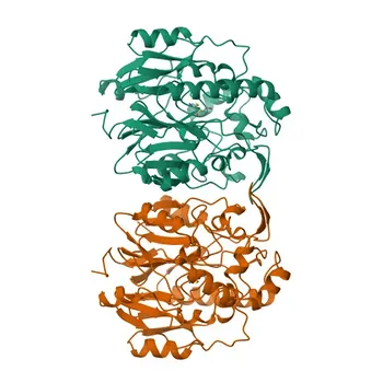 Anticorpo Monoclonal de Coelho Anti-GATM para WB, IF-P, IHC-P, ELISA - P50440