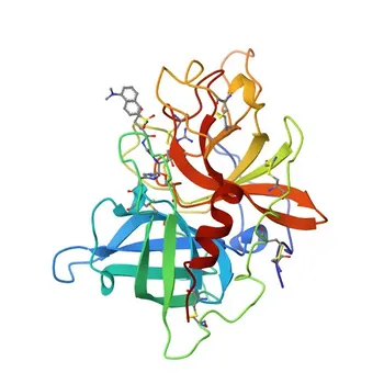Anticorpo Monoclonal de Coelho Anti-tPA/PLAT para WB, IF/ICC, IF-P, ELISA - P00750