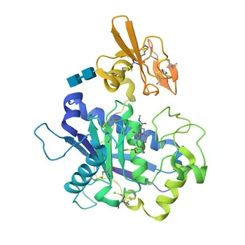 Anti-ADAMTS5 Rabbit Monoclonal Antibody for WB and ELISA - Q9UNA0
