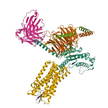 Anticorpo Monoclonal Anti-SSTR5 para WB, IHC-P, ELISA - P35346