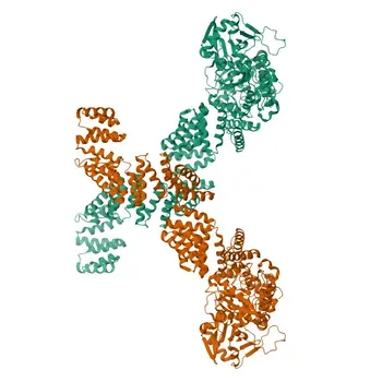 Anti-OGT Monoclonal Antibody for WB, ELISA, ChIP - O15294