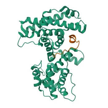 Anticorpo Monoclonal de Coelho Anti-E2F2 para WB e ELISA - Q14209