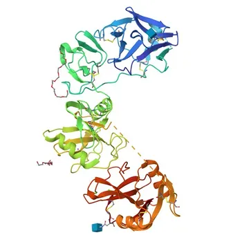 Coniglio anti-Umano MRC2 Anticorpo Monoclonale per Citometria a Flusso - Q9UBG0