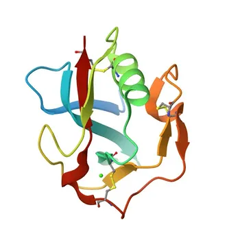 Anticorpo Monoclonal de Coelho anti-Mouse CD204 Conjugado com PE para FC - P30204