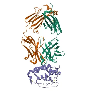 Rabbit anti-Human IL9 Monoclonal Antibody for IF/ICC, FC (intra) - P15248
