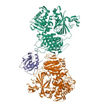 Anti-Sec23A Rabbit Monoclonal Antibody for WB, IF/ICC, ELISA - Q15436