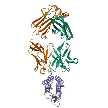 Anticorpo Monoclonal PE Coelho anti-IL-9 de Rato para Citometria de Fluxo (Intracelular) - P15247