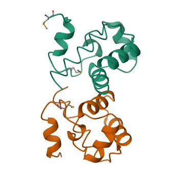 Anticorpo Monoclonal Coelho Anti-BANF1 para WB, IHC-P, IF/ICC, ELISA - O75531