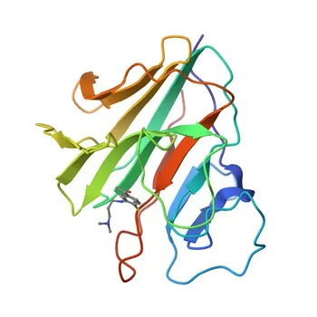 [KO Validated] Anti-TRIM21/SS-A Rabbit Monoclonal Antibody for WB and ELISA - P19474