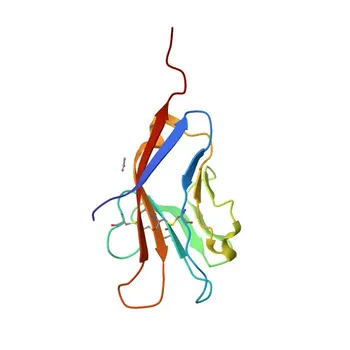 Anticorpo Monoclonal de Coelho APC anti-Camundongo TIM-1/KIM-1/HAVCR para FC - Q5QNS5