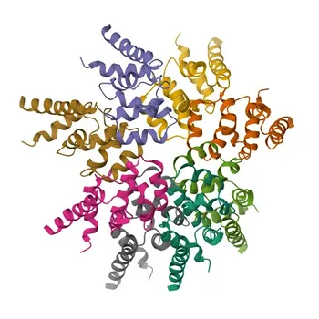 Anti-Bcl10 Monoclonal Antibody for WB, ELISA - O95999