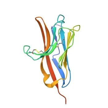 Rabbit anti-Human CD300F/IREM-1 Monoclonal Antibody for Flow Cytometry - Q8TDQ1