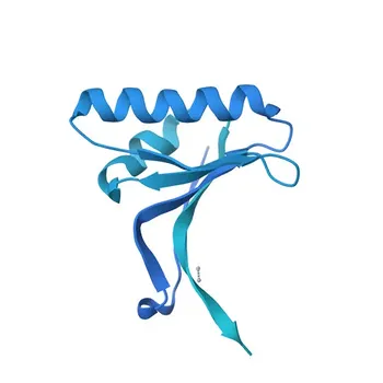 Anti-Proprotein Convertase 9 (PCSK9) Rabbit mAb for WB, ELISA - Q8NBP7