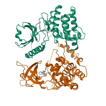 Anticorpo Monoclonal Anti-RIPK3 (RIP3) para WB, IHC-P, ELISA - Q9Y572