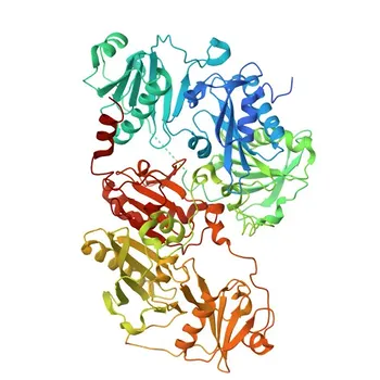 Anticuerpo monoclonal anti-Gelsolina para WB, IHC-P, ELISA - P06396