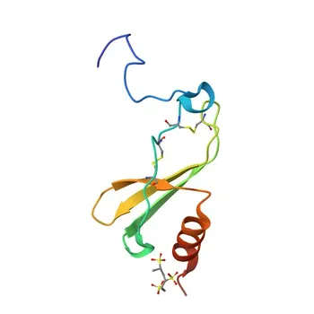mAb de coelho anti-PPBP para WB, IF/ICC, ELISA - P02775