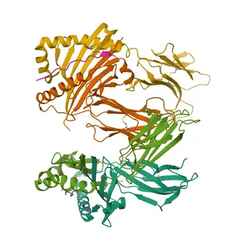 Anticorpo Monoclonal Rato anti-Mouse MHC Classe II (I-A/I-E) para Citometria de Fluxo - P18468 / P06342 / Q3U060 / P14435