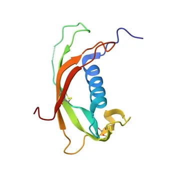 Anticorpo Monoclonal de Coelho Anti-CAMP para WB, IHC-P, ELISA - P49913