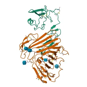 Anticorpo monoclonal de coelho anti-camundongo CD87 (uPAR) para citometria de fluxo - P35456