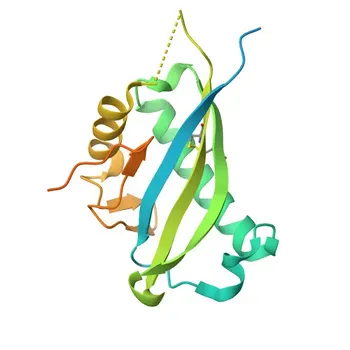 Anticorpo Monoclonal Anti-MUC16/CA125 para WB, IHC-P, IP, ELISA - Q8WXI7