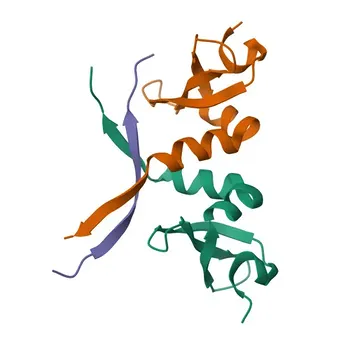 Anticorpo Monoclonal Anti-CBX1/HP1 beta para WB, IHC-P, ELISA - P83916