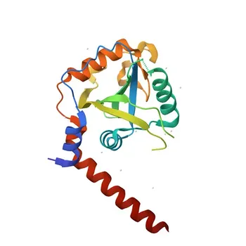 Anticorpo monoclonale di coniglio Anti-YTHDF1 per WB, IP, ELISA - Q9BYJ9