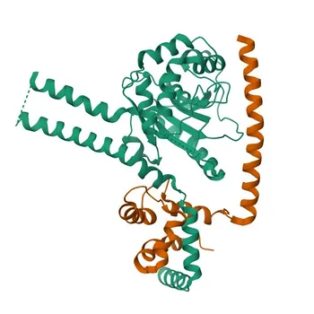 Anticuerpo monoclonal de conejo Anti-NFRKB para WB, ELISA - Q6P4R8