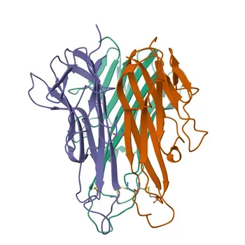 Anticorpo Monoclonal de Coelho Anti-TNF-α para WB, ELISA - P06804