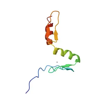 Anticorpo Monoclonale Coniglio Anti-KLF10 per WB, ELISA - Q13118