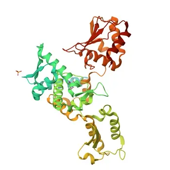 Anticorpo monoclonal anti-SMURF2 para WB, IHC-P, IP, ELISA - Q9HAU4