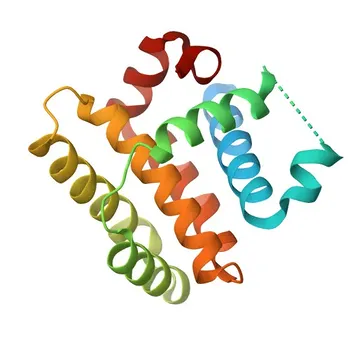 Anticorpo monoclonale di coniglio anti-BCL2L15 per WB, ELISA - Q5TBC7