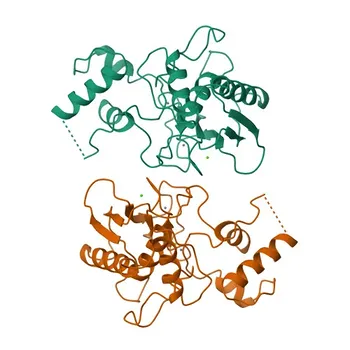 Anti-MMP3 (Stromelysin-1) Monoclonal Antibody for WB, IHC-P, IF/ICC, ELISA - P08254