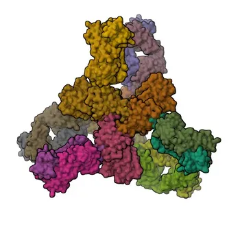 Anti-Human Kappa Light Chain Rabbit Monoclonal Antibody for WB, IF-P, FC, ELISA - P01834