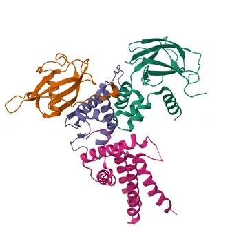 مضاد وحيد النسيلة من الأرنب ضد Von Hippel Lindau/VHL تم التحقق منه بواسطة KO لـ WB و ELISA - P40337