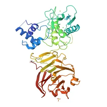 Anticorpo Monoclonal de Coelho Anti-MMP1 para WB, ELISA - P03956